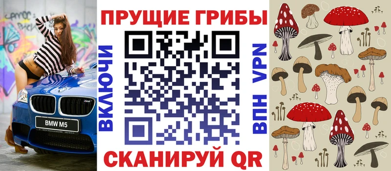 Галлюциногенные грибы Psilocybe  цены наркотик  Шали 