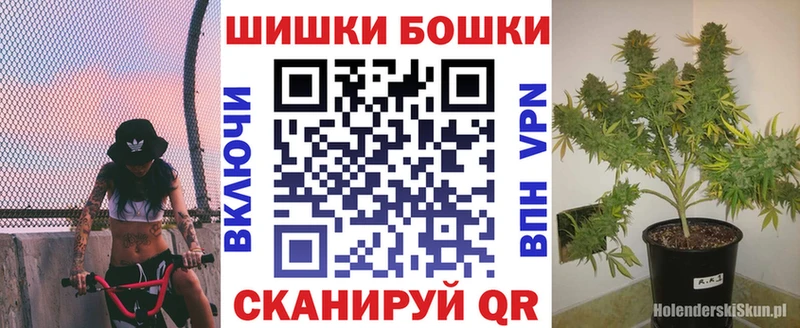 Бошки Шишки семена  продажа наркотиков  Шали 